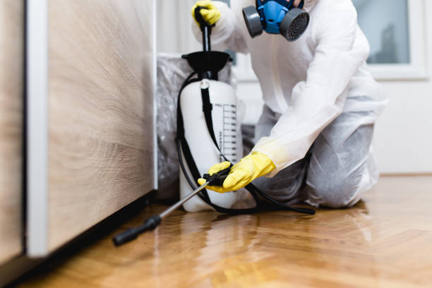 Best Best Pest Control Companies  in Francis, UT