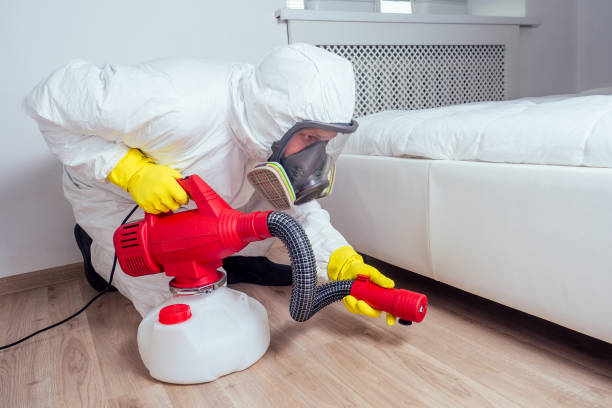 Best Bed Bug Extermination  in Francis, UT
