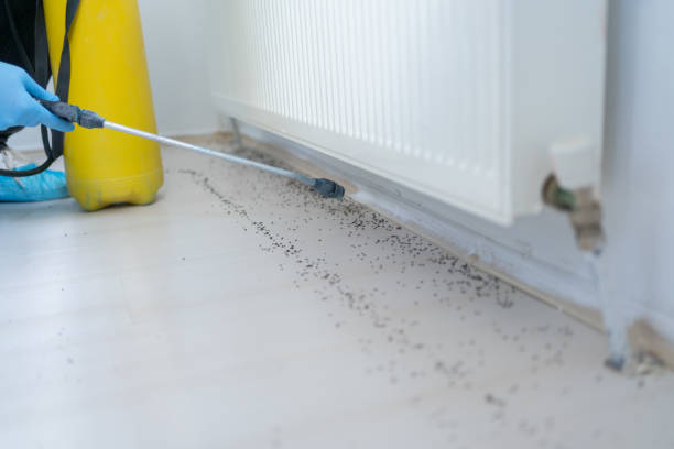 Best Emergency Pest Control  in Francis, UT