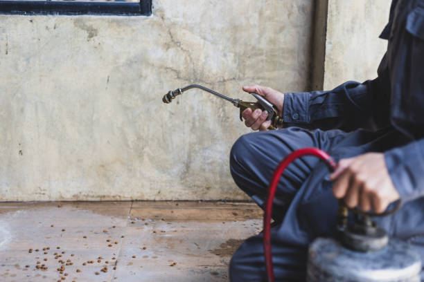 Best Wasp Removal Services  in Francis, UT