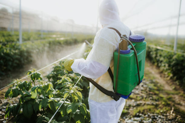 Best Residential Pest Control  in Francis, UT